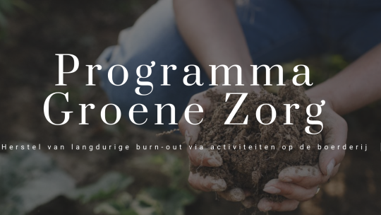 Onderzoek: Help mee de impact van groene zorg op burn-out zichtbaar te maken